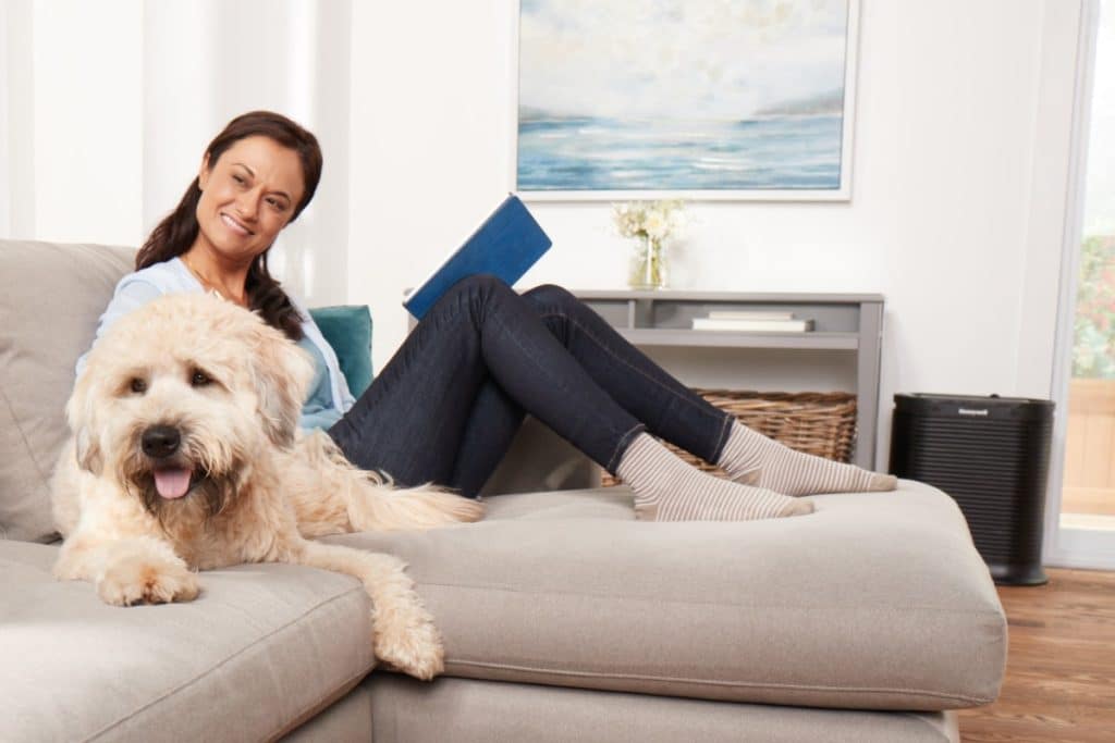 Person on couch reading a book while petting a white dog