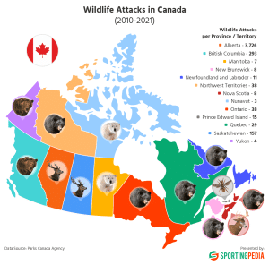 An infographic depicting wildlife attacks across Canada from 2010 to 2021.