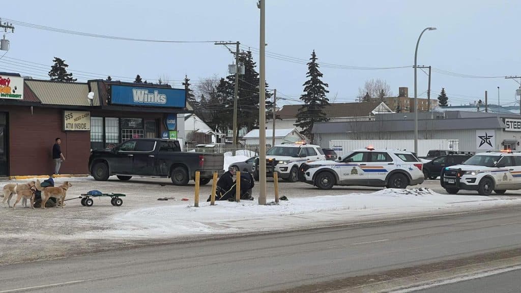 Police arresting a man while a few dogs and another man look on in a Winks parking lot, with lots of police vehicles.
