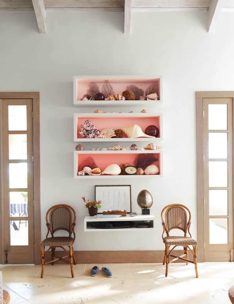 Shelves with various shells on them with two chairs next to it